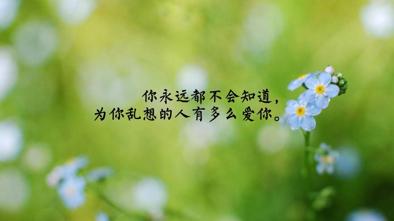 抖音一元100赞平台,抖音点赞多少钱,网红商城1元1000